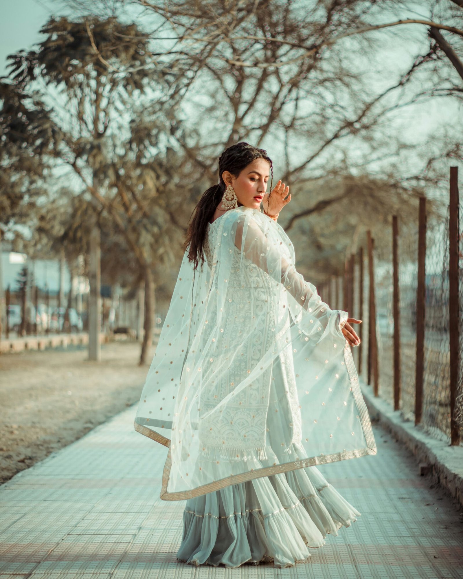 Festive Edit Sarees